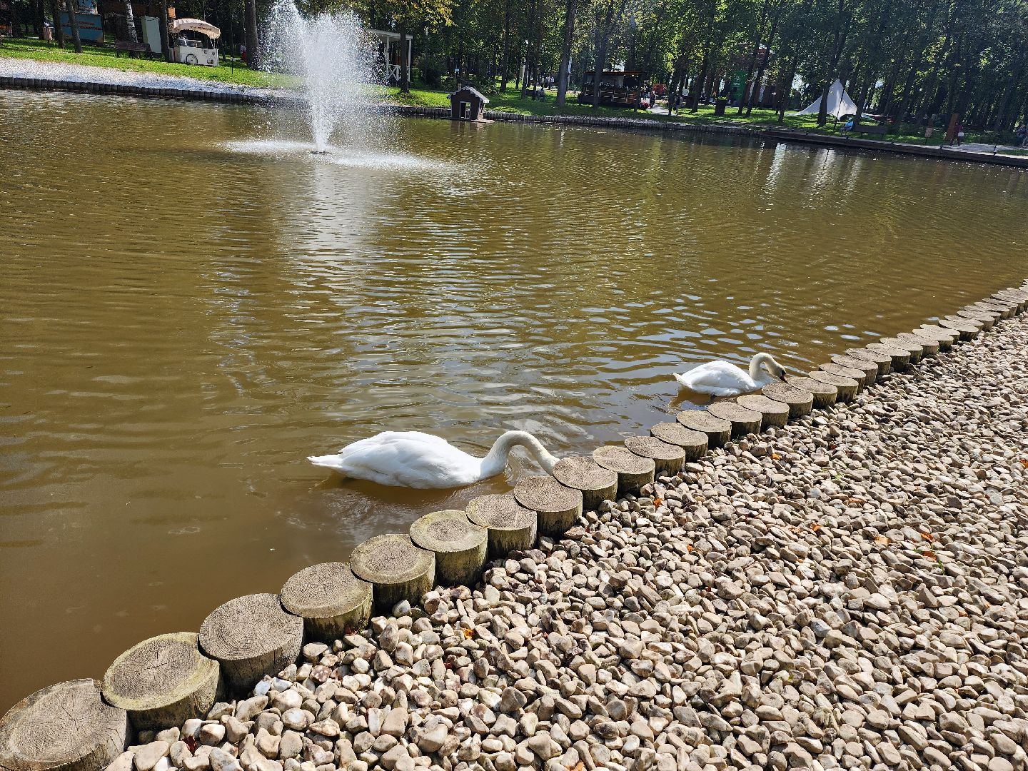 серпухов, парк олега степанова, пруд, лебеди, стеша и степа,