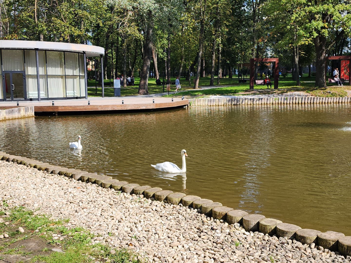 серпухов, парк олега степанова, пруд, лебеди, стеша и степа,