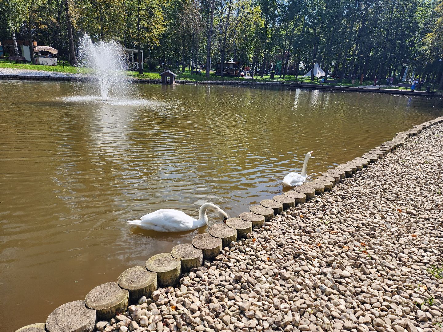 серпухов, парк олега степанова, пруд, лебеди, стеша и степа,