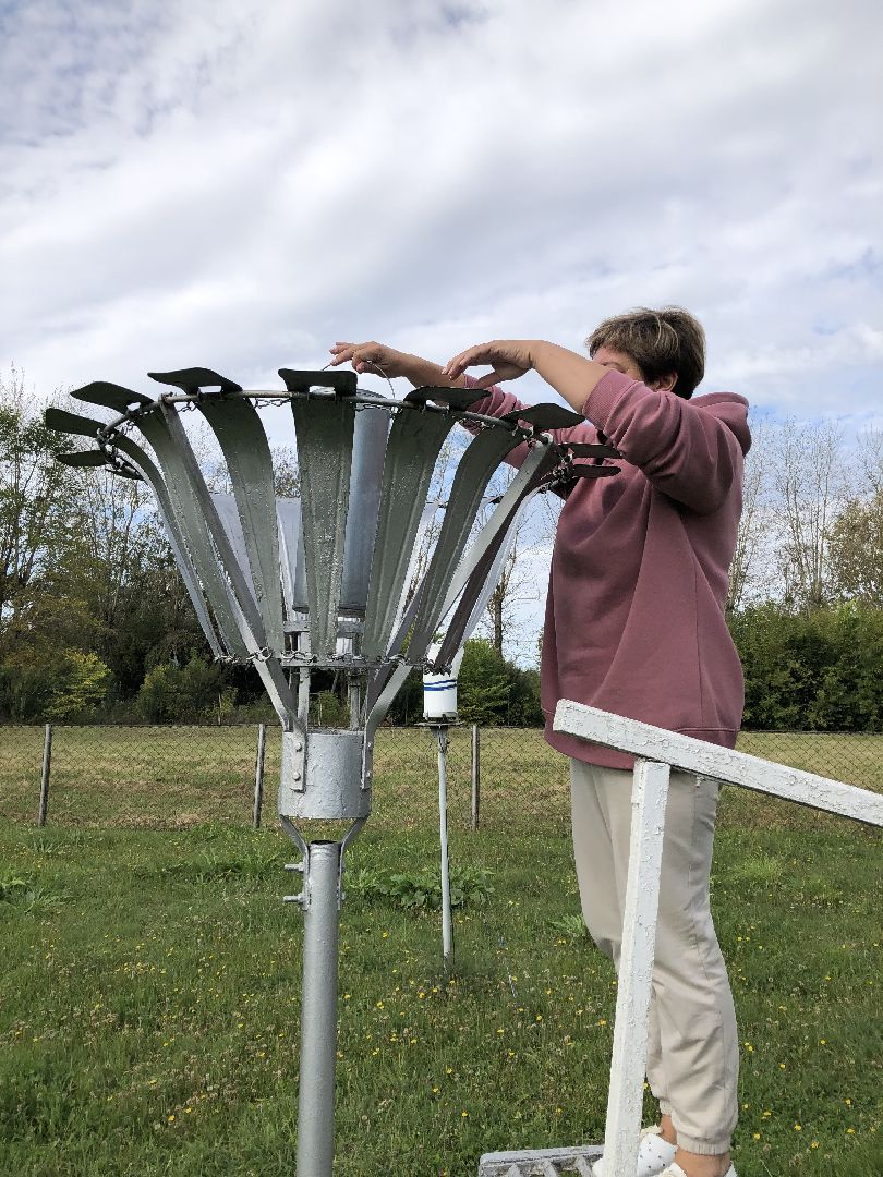 коломна, погода