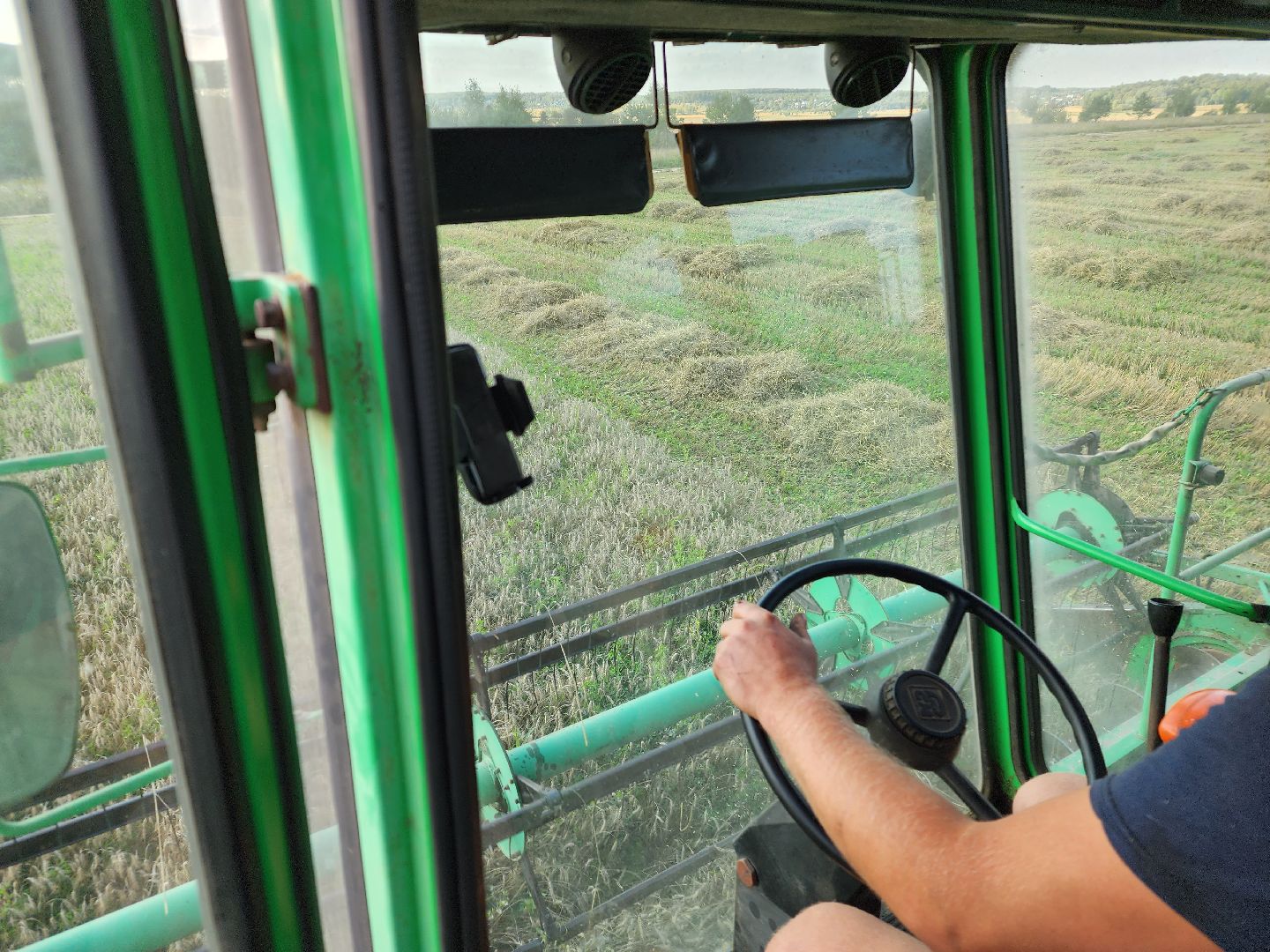 Сьтупино, сельское хозяйство, безглютеновая пшеница