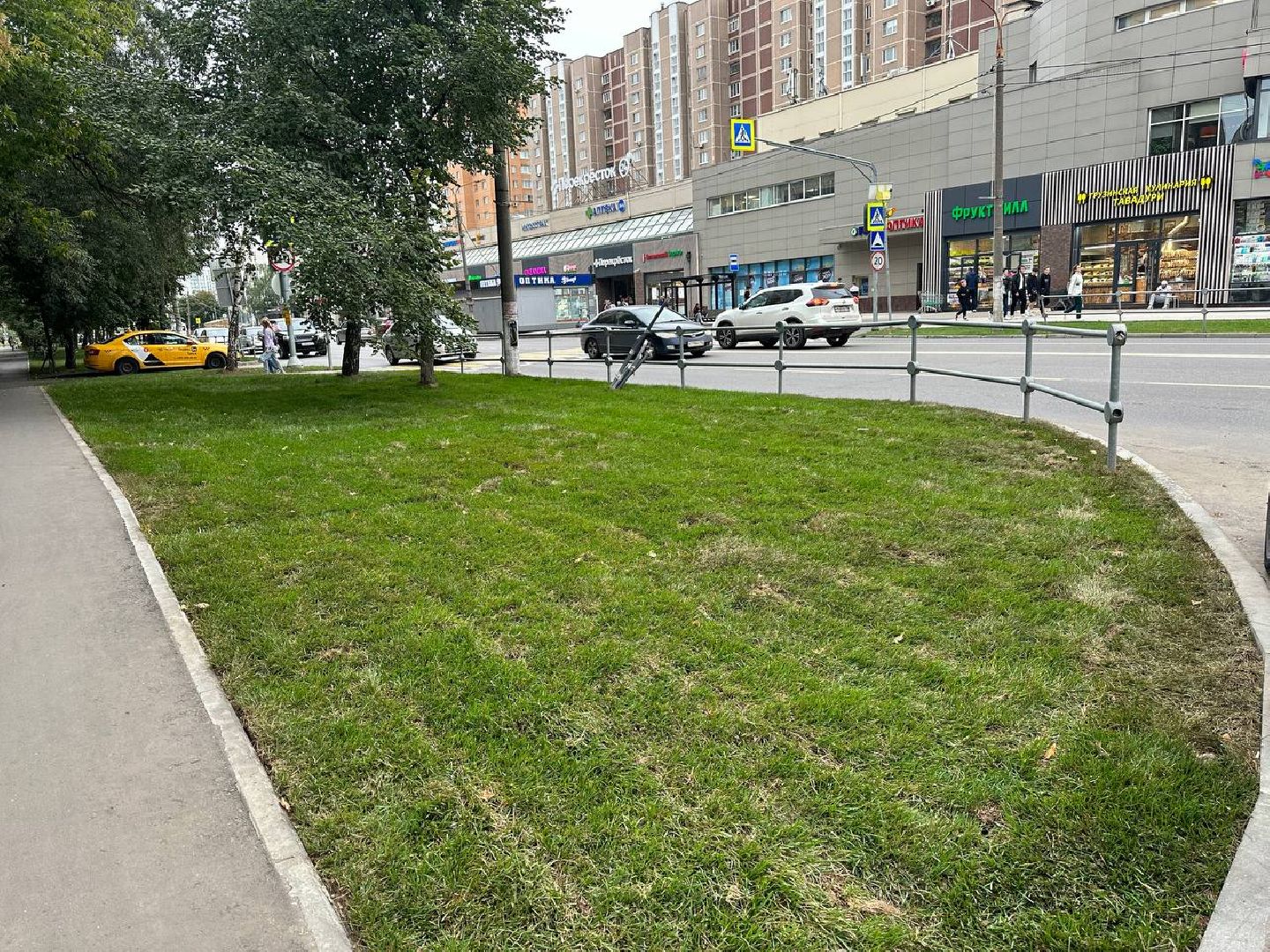 Реутов, МЦД-4, благоустройство, трава, газон