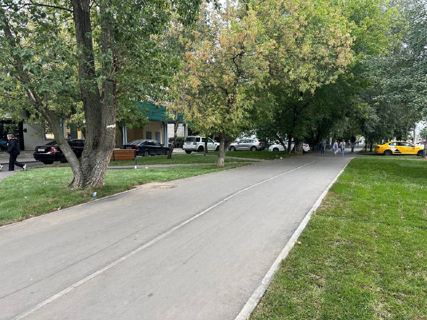 Реутов, МЦД-4, благоустройство, трава, газон