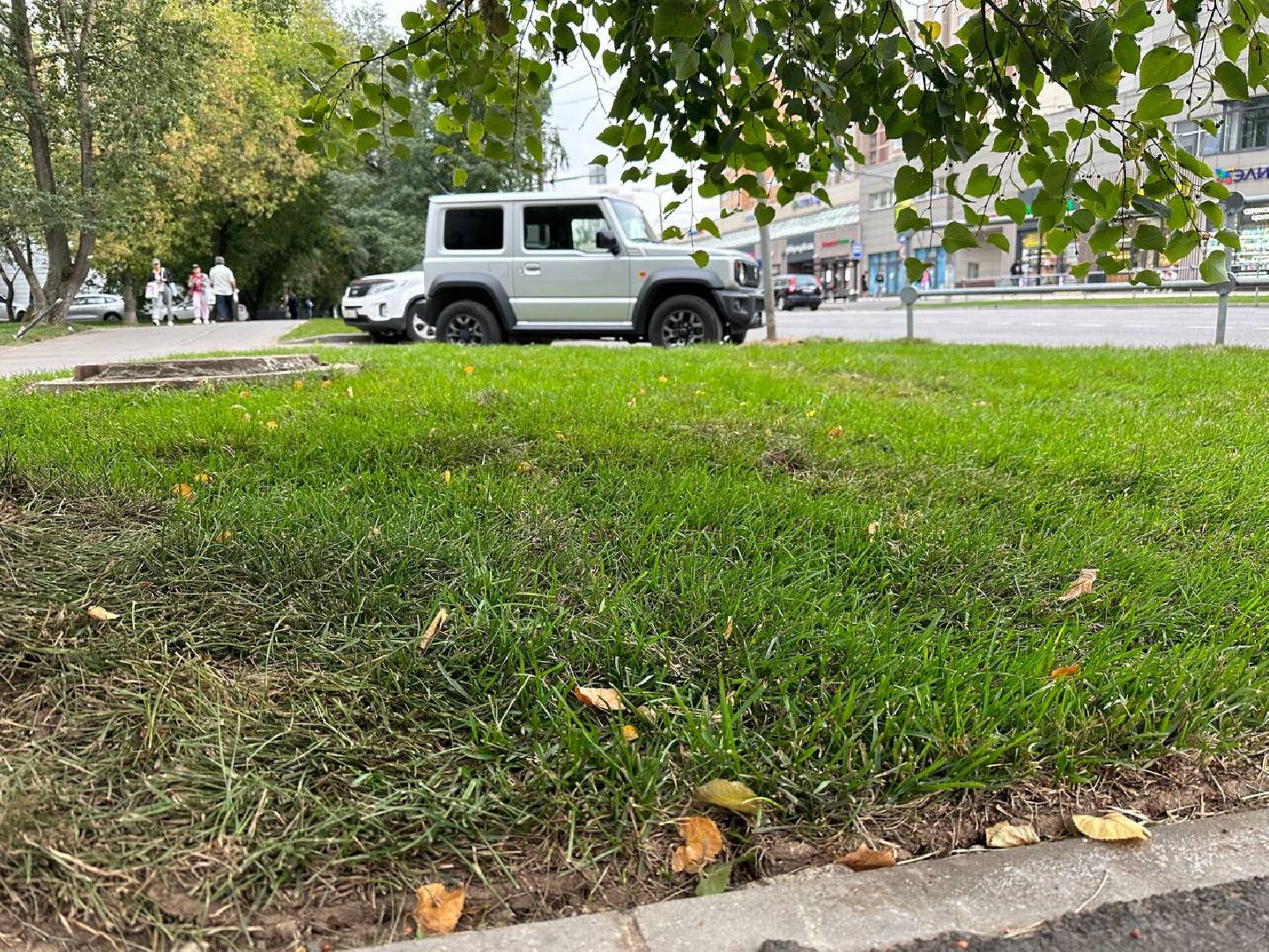 Реутов, МЦД-4, благоустройство, трава, газон