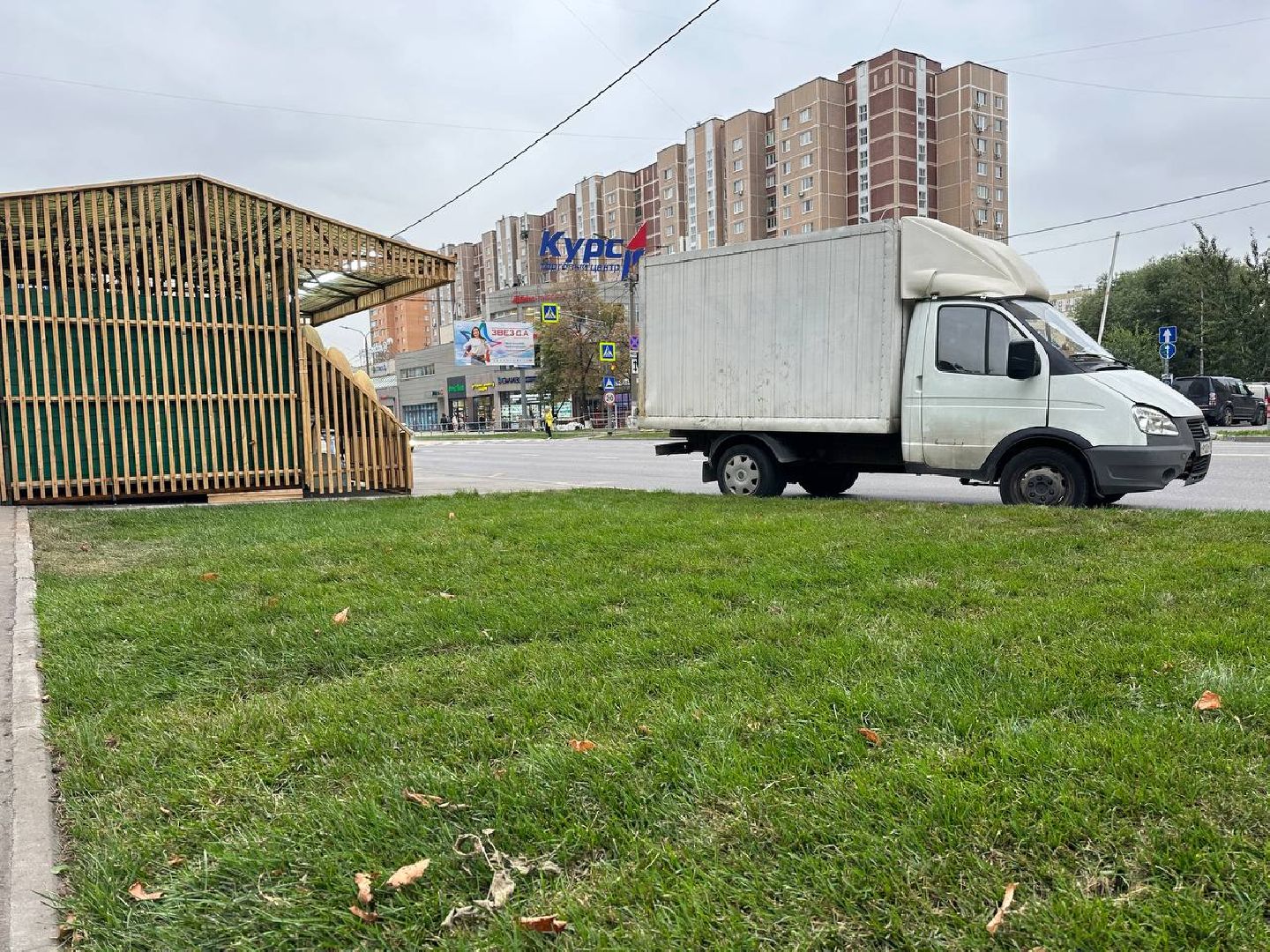 Реутов, МЦД-4, благоустройство, трава, газон