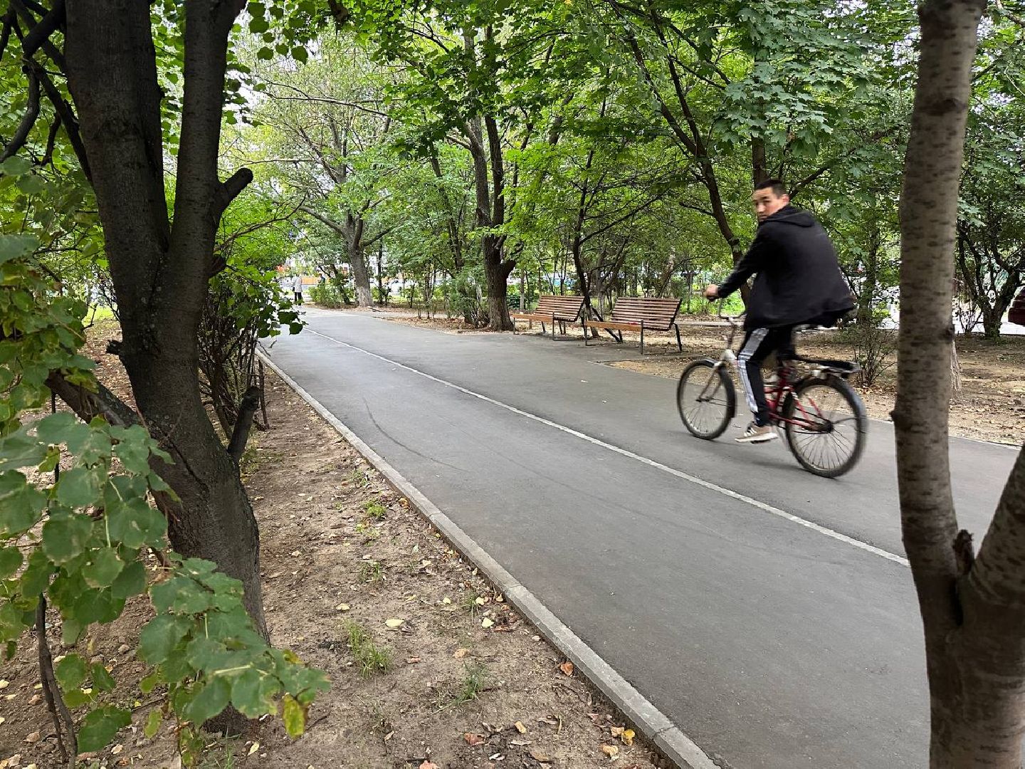 Реутов, МЦД-4, благоустройство, трава, газон