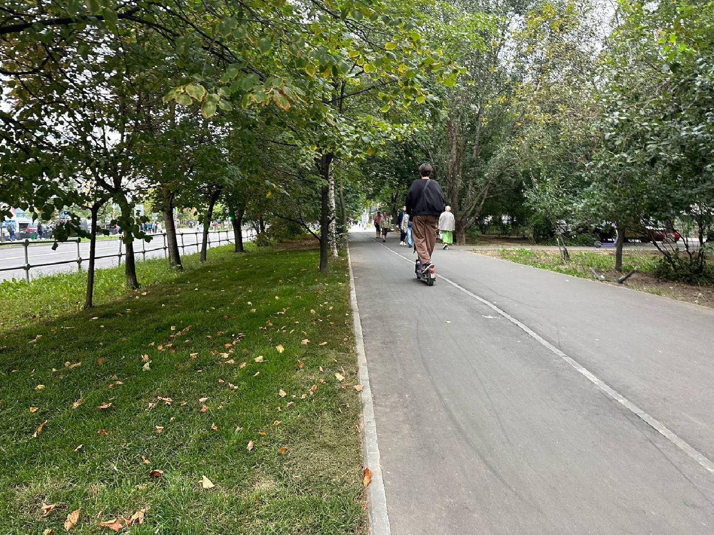 Реутов, МЦД-4, благоустройство, трава, газон