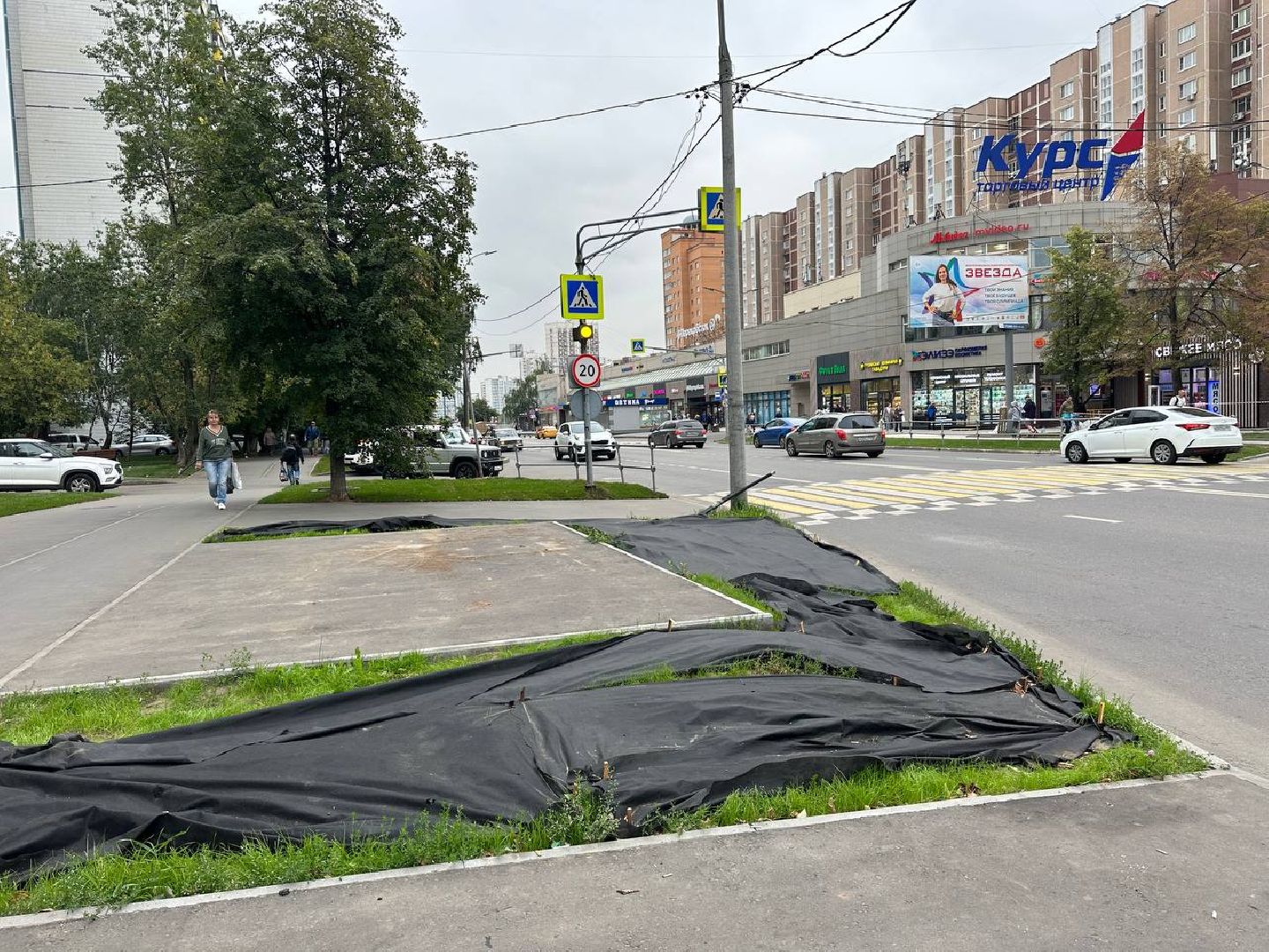 Реутов, МЦД-4, благоустройство, трава, газон