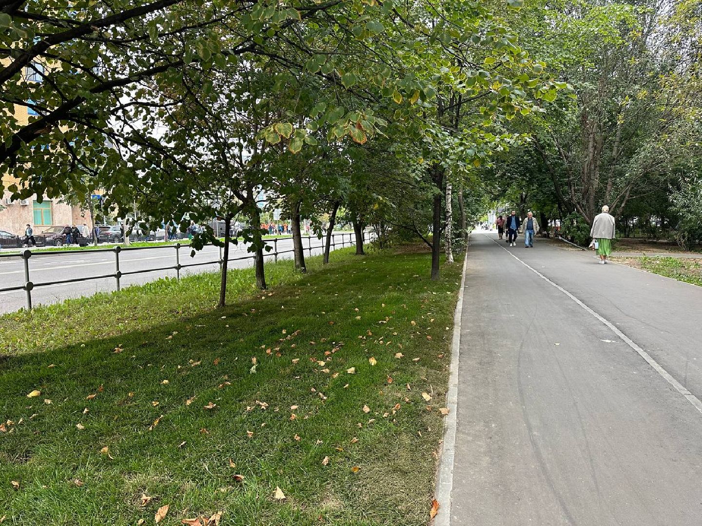 Реутов, МЦД-4, благоустройство, трава, газон