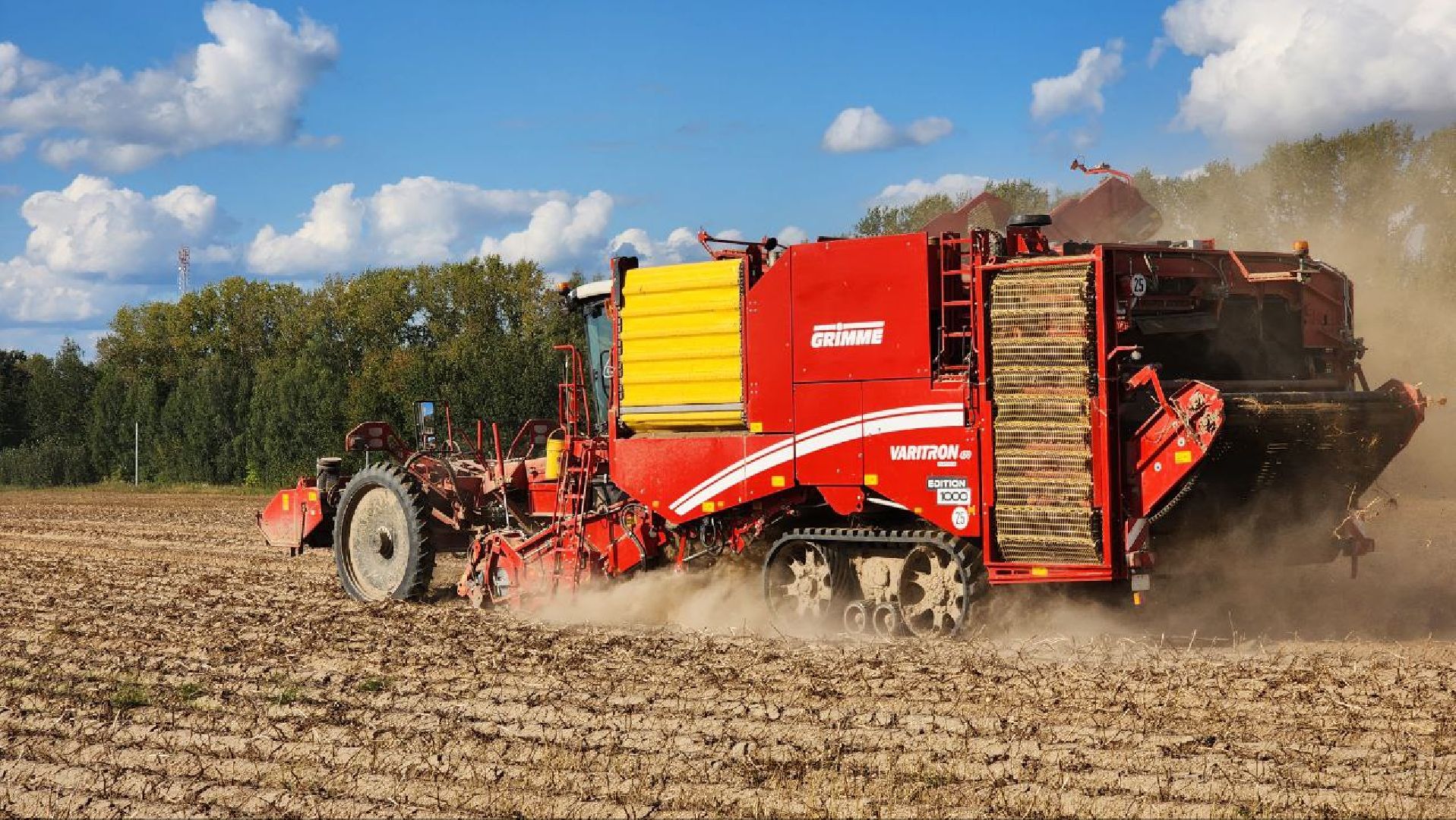 Дмитров, Агрофирма Бунятино, Агрохолдинг Дмитровские овощи