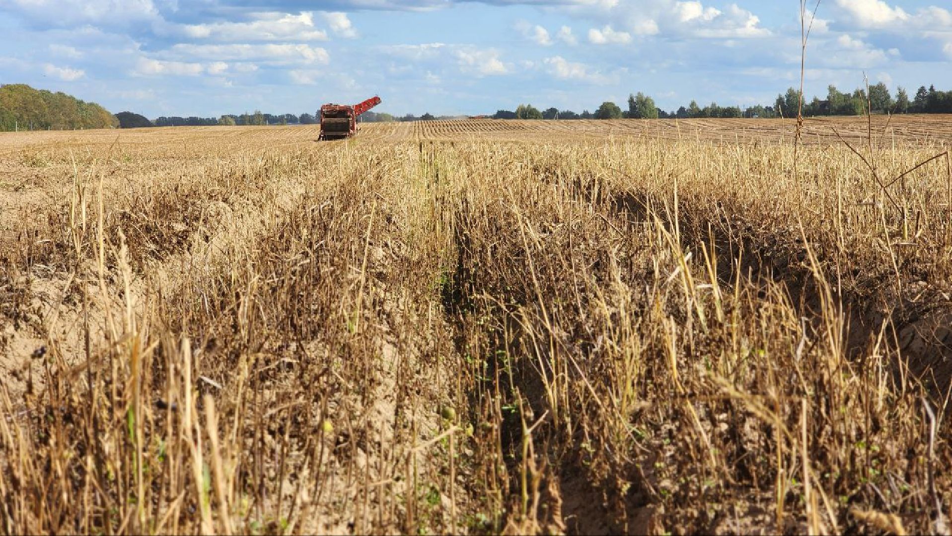 Дмитров, Агрофирма Бунятино, Агрохолдинг Дмитровские овощи