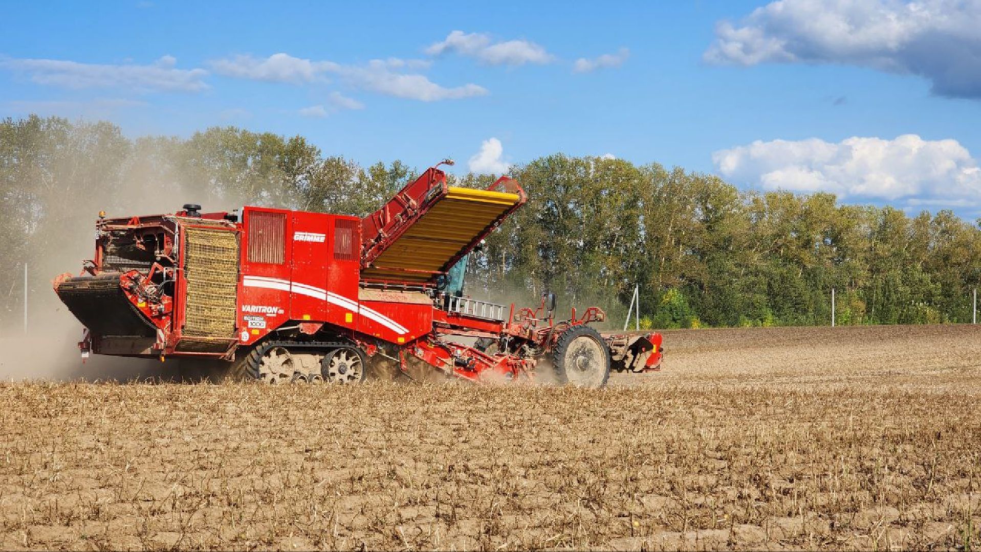 Дмитров, Агрофирма Бунятино, Агрохолдинг Дмитровские овощи