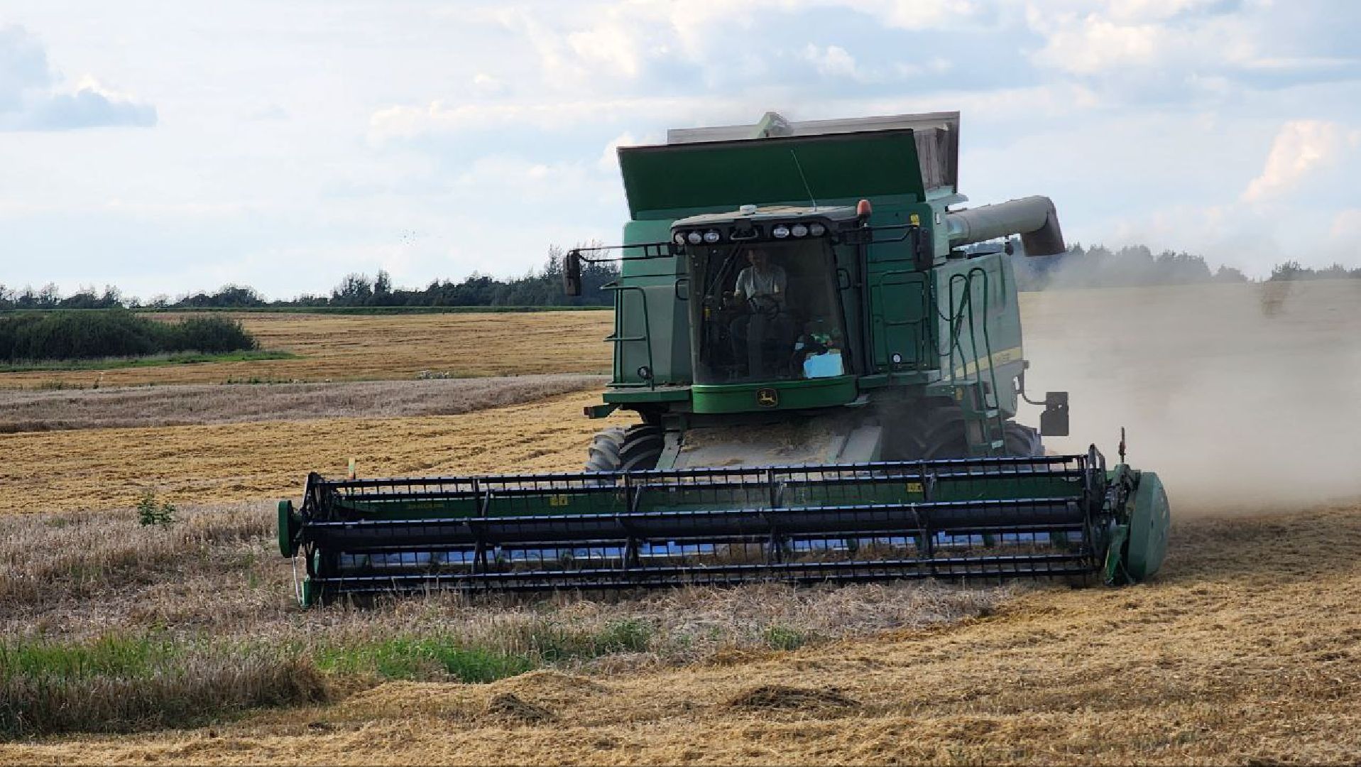 Дмитров, Агрофирма Бунятино, Агрохолдинг Дмитровские овощи