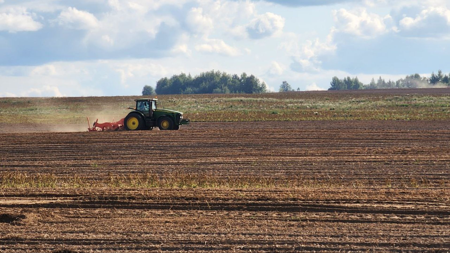 Дмитров, Агрофирма Бунятино, Агрохолдинг Дмитровские овощи