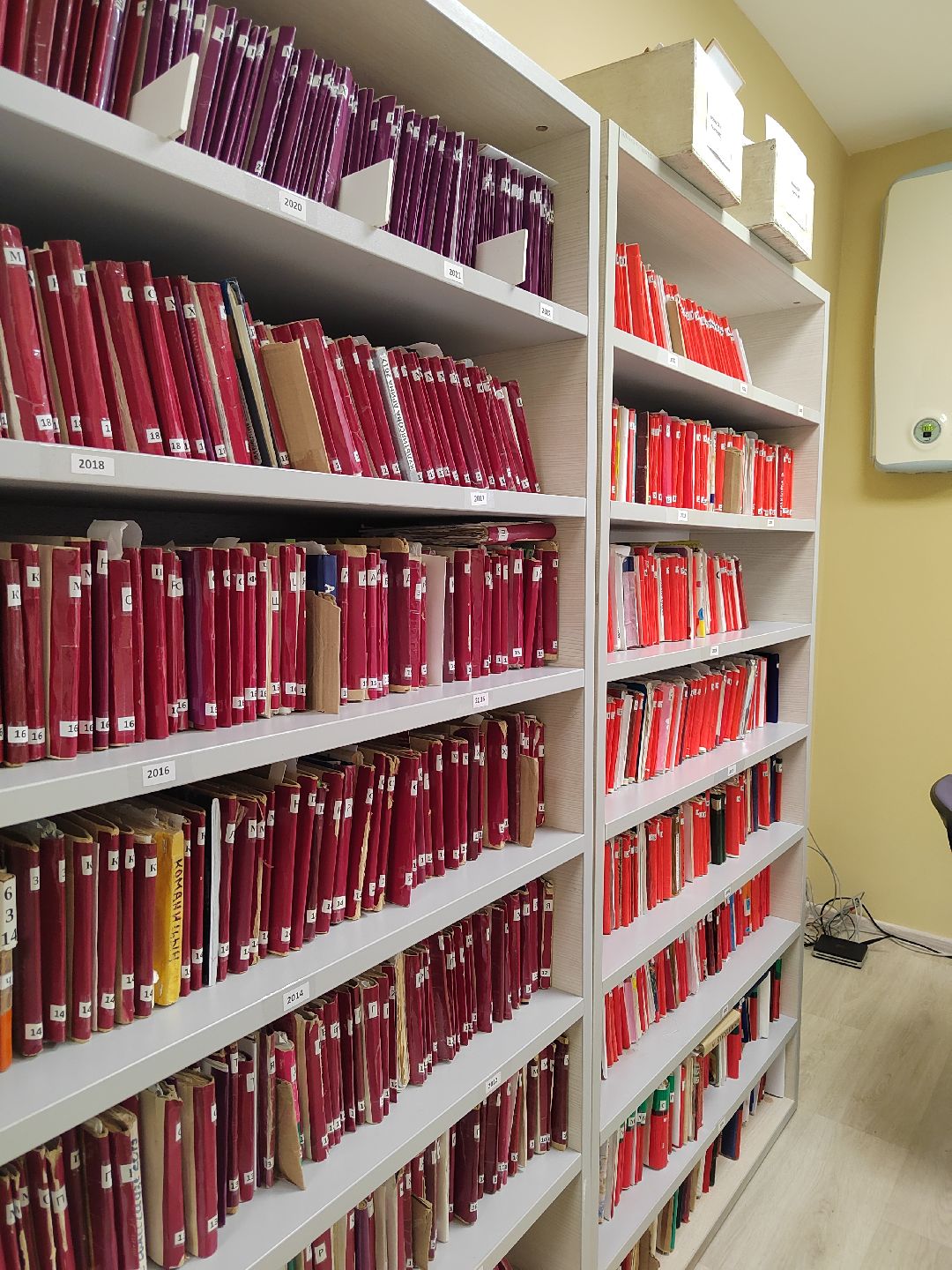 Пушкино, Пушкинский, здравоохранение, дети, здоровье, Весна в Подмосковье, медицина