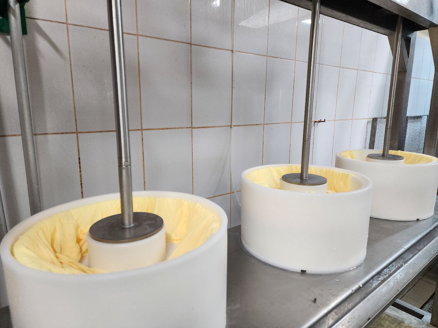 Подольск, экономика, сыры премиум-класса, натуральный продукт, семейный бизнес