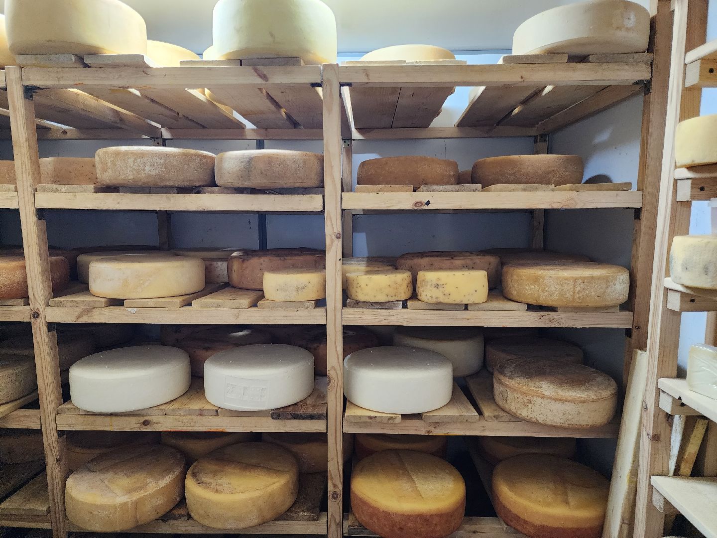 Подольск, экономика, сыры премиум-класса, натуральный продукт, семейный бизнес