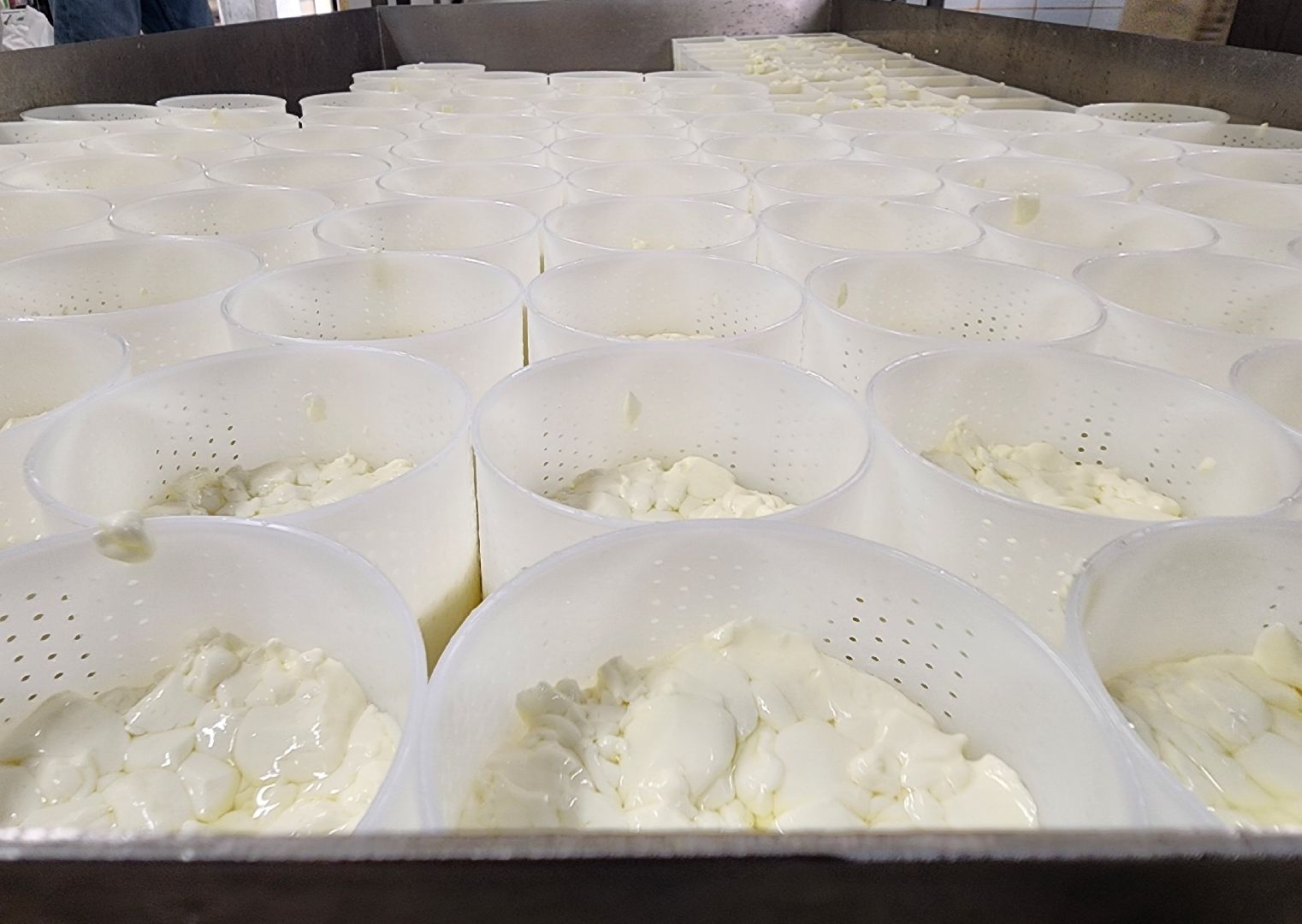 Подольск, экономика, сыры премиум-класса, натуральный продукт, семейный бизнес