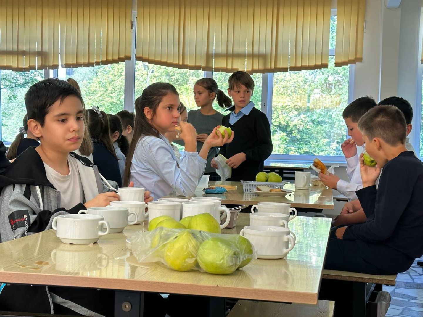 Реутов, образование, школы. столовая. еда, меню новые блюда