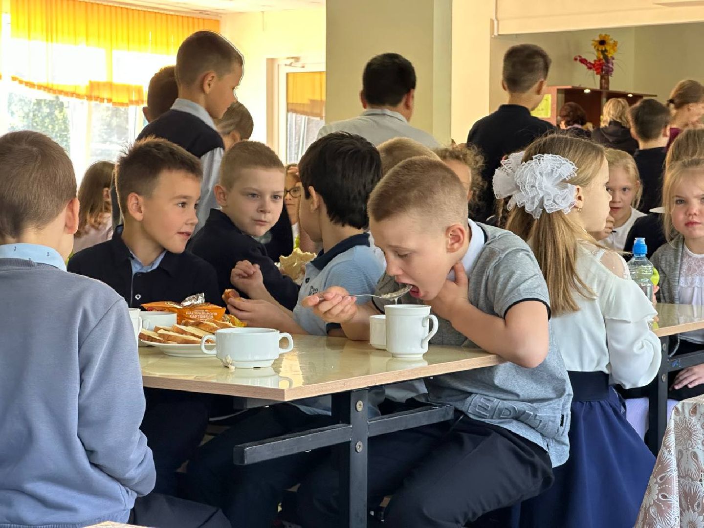 Реутов, образование, школы. столовая. еда, меню новые блюда