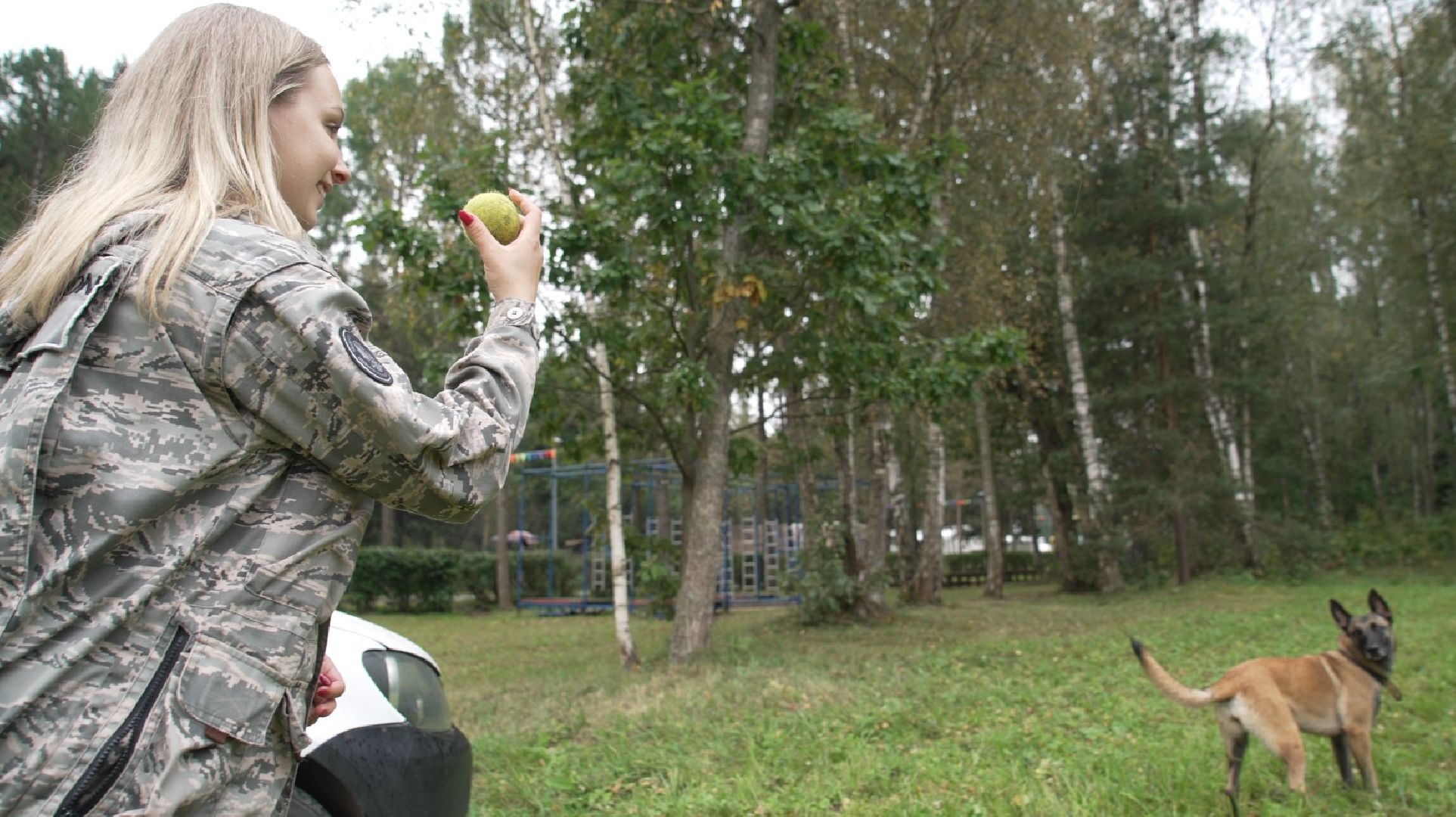 служебные собаки, аэропорт Домодедово