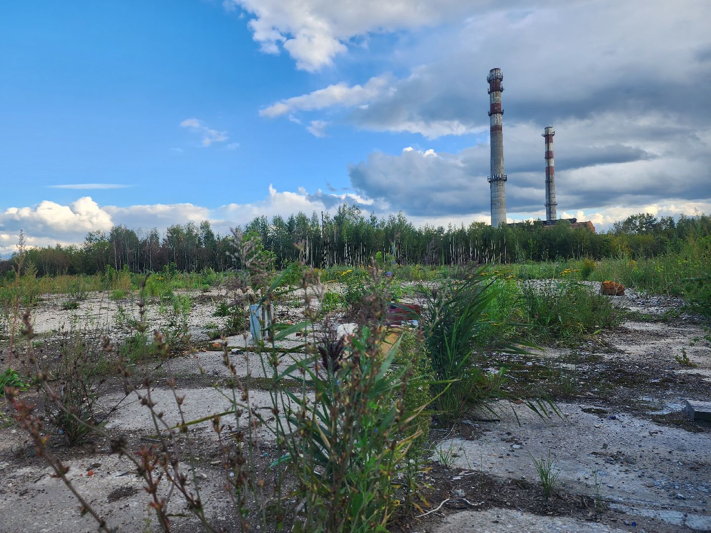 Строительство, производство, фабрика, Ногинск, Богородский городской округ
