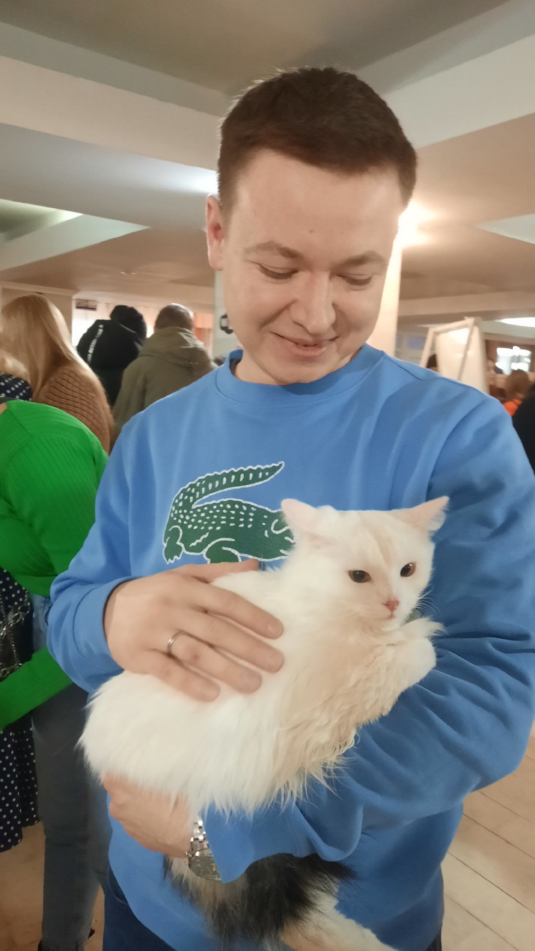 Кошка, собака, приют, зооакция, волонтеры, бездомные, питомец, терапевт, друг, пристройство, выставка, Наро-Фоминск