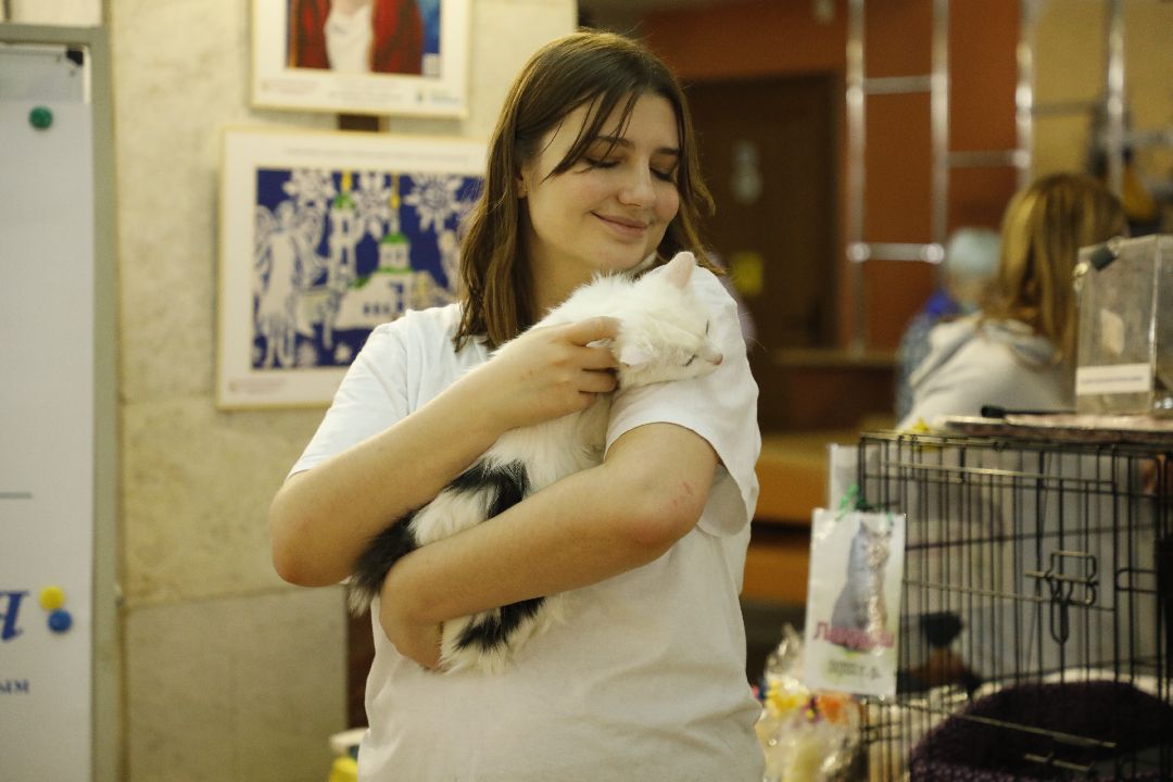 Кошка, собака, приют, зооакция, волонтеры, бездомные, питомец, терапевт, друг, пристройство, выставка, Наро-Фоминск