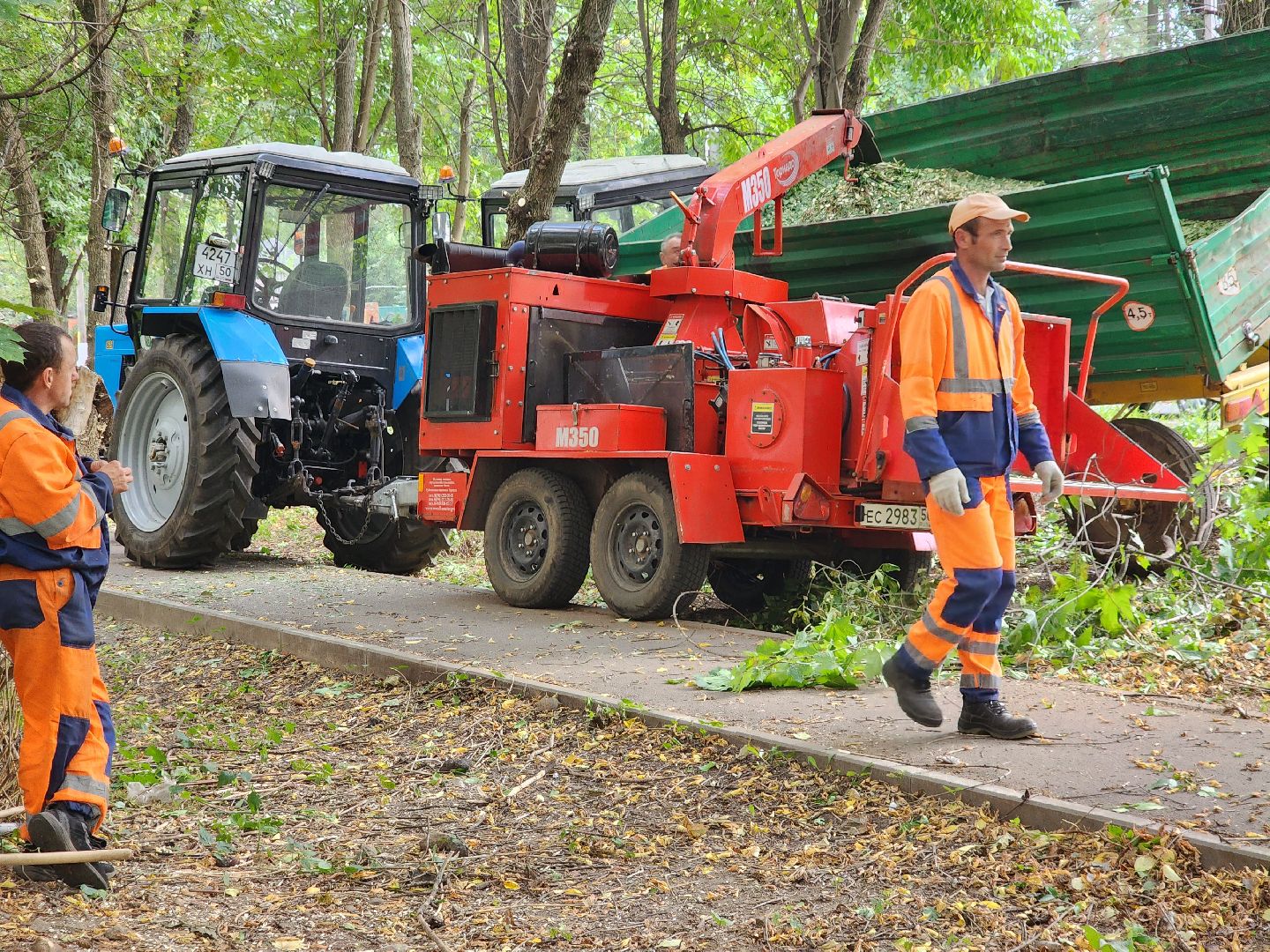 пушкино, благоуйстройство, деревья,