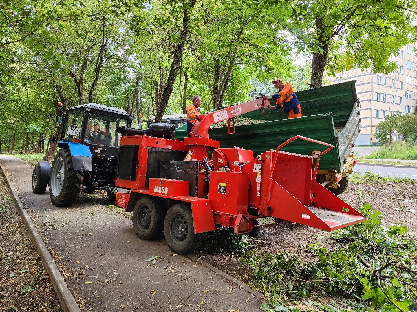 пушкино, благоуйстройство, деревья,