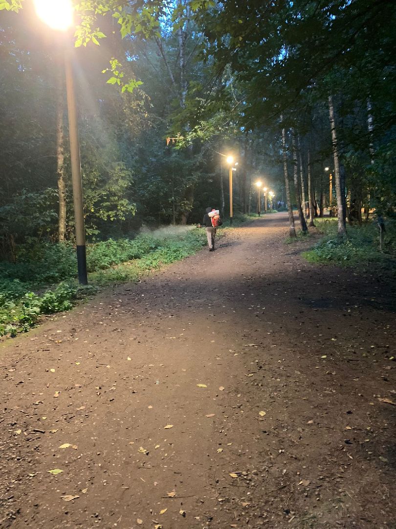 противоклещевая обработка, благоустройство, Котельники