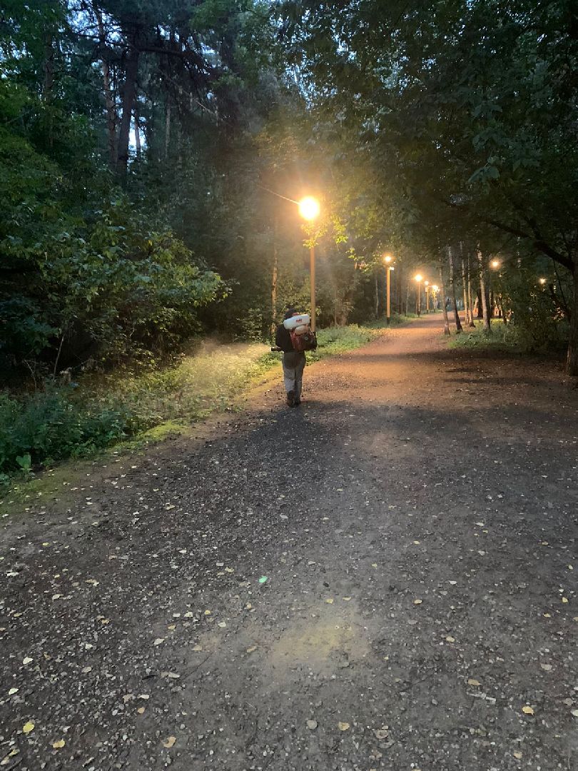 противоклещевая обработка, благоустройство, Котельники