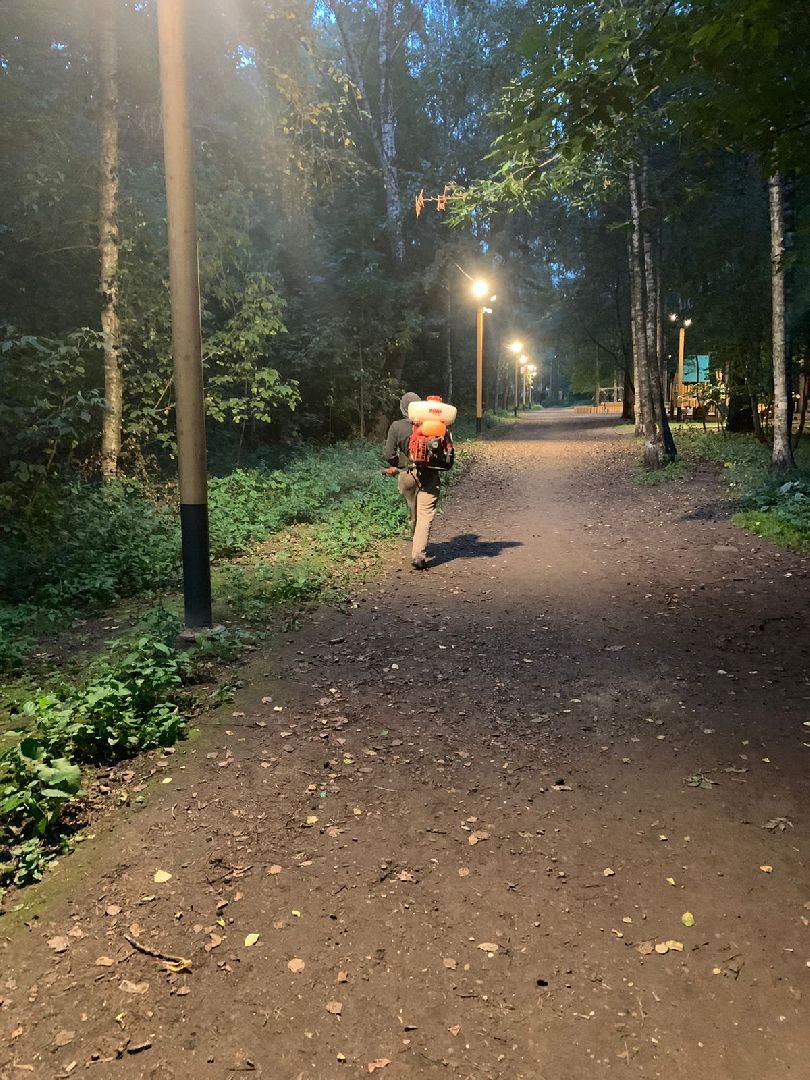 противоклещевая обработка, благоустройство, Котельники