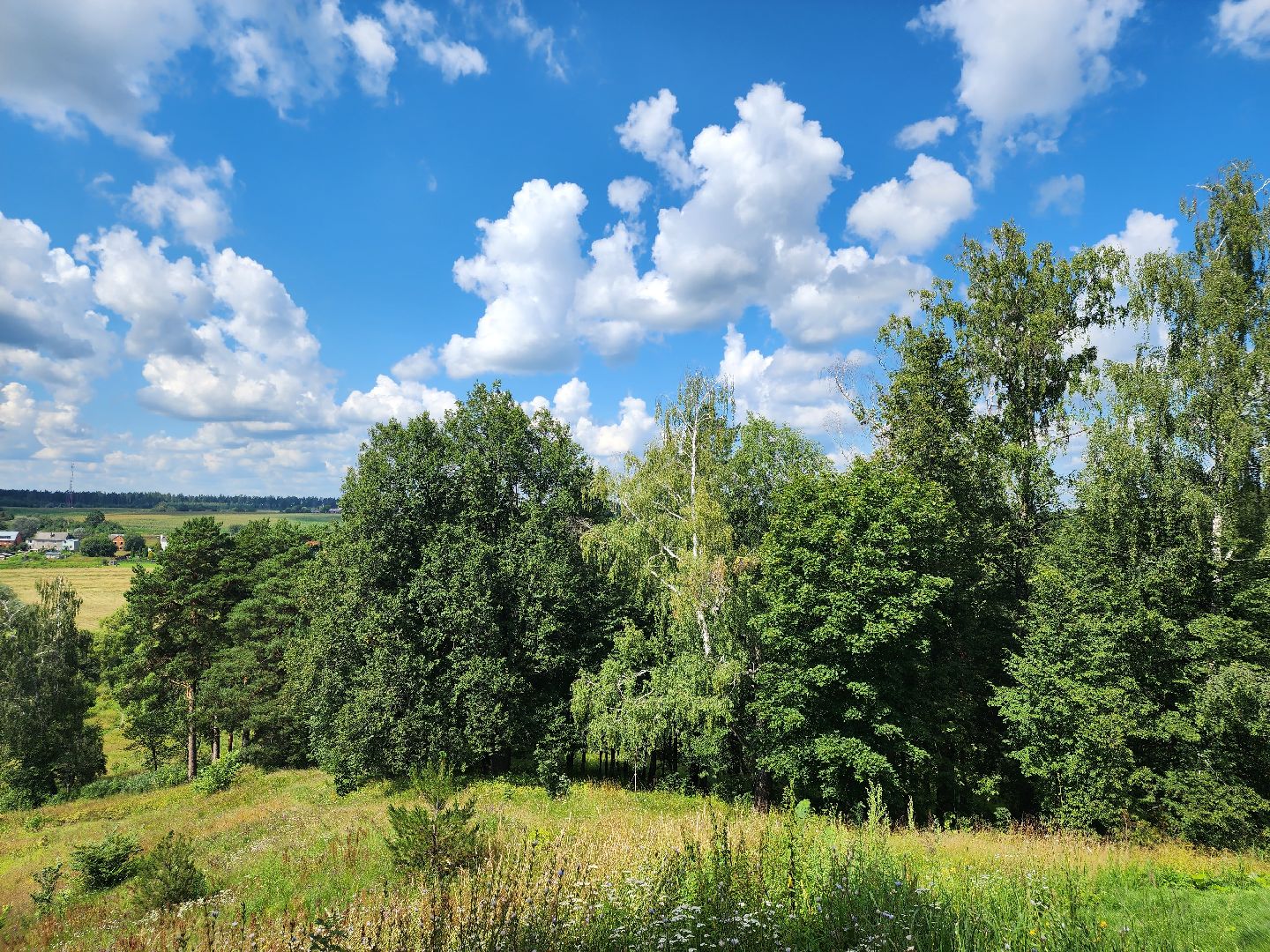 Звенигород, культура, живопись, мастер-класс