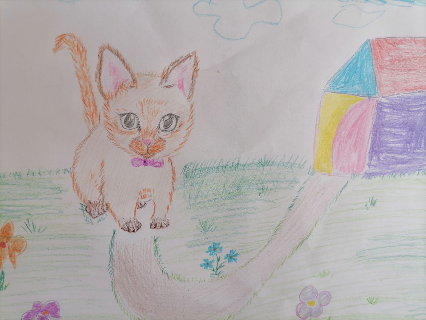 помощьбездомнымживотным