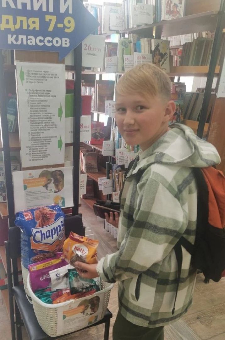 помощьбездомнымживотным