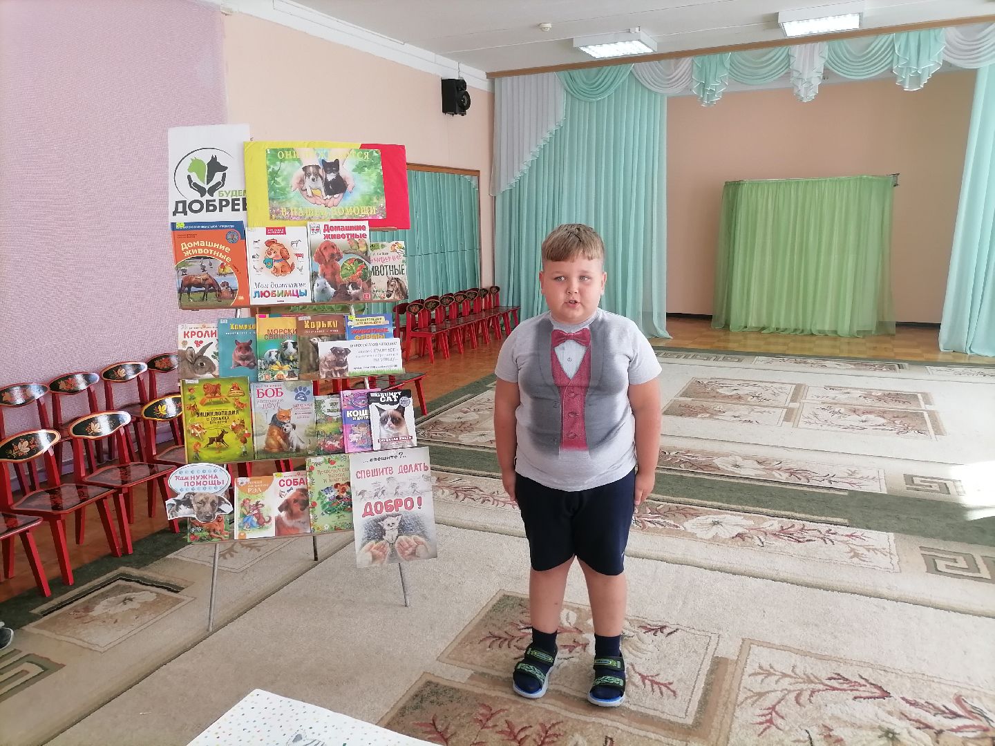 помощьбездомнымживотным