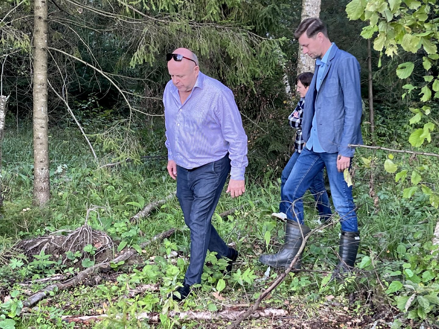 Наро-Фоминск, Наш лес, посади дерево, экология, экологическая акция,