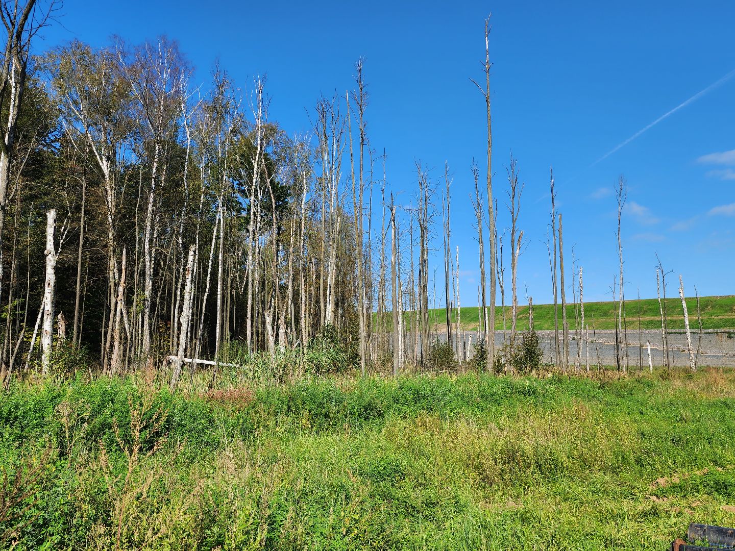 экология, полигон тбо съяново-1, серпухов, депутат-эколог, рекультивация, фильтрат, деревья,