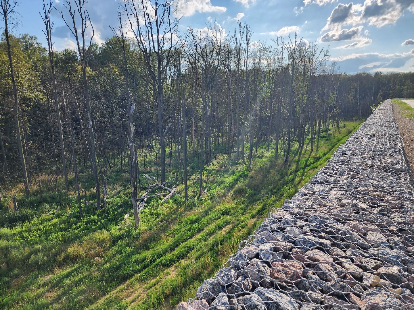 экология, полигон тбо съяново-1, серпухов, депутат-эколог, рекультивация, фильтрат, деревья,