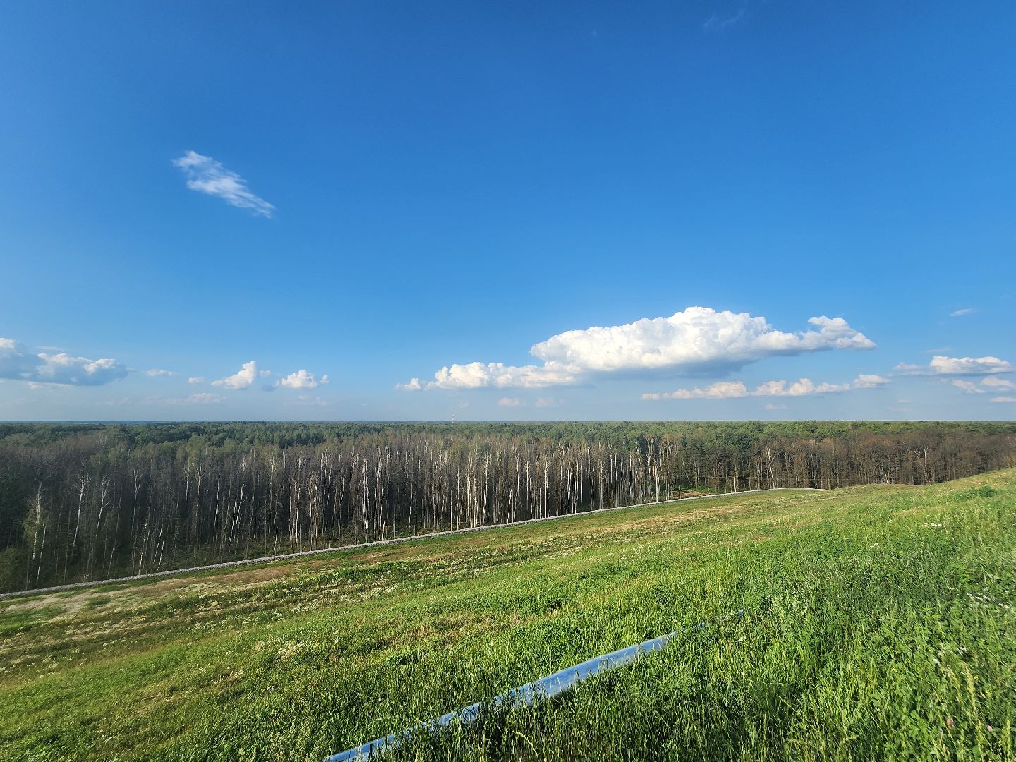 экология, полигон тбо съяново-1, серпухов, депутат-эколог, рекультивация, фильтрат, деревья,