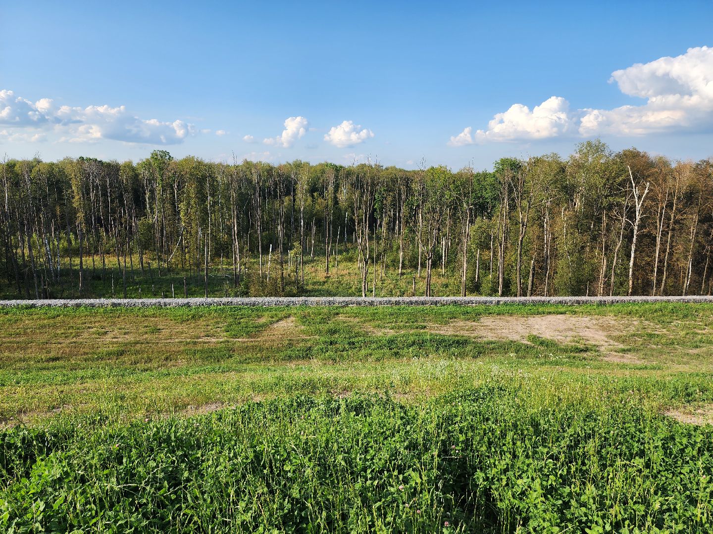 экология, полигон тбо съяново-1, серпухов, депутат-эколог, рекультивация, фильтрат, деревья,