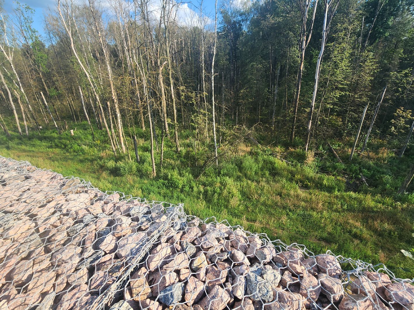 экология, полигон тбо съяново-1, серпухов, депутат-эколог, рекультивация, фильтрат, деревья,