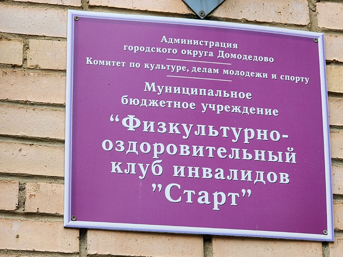 Выборы 2023, Домодедово