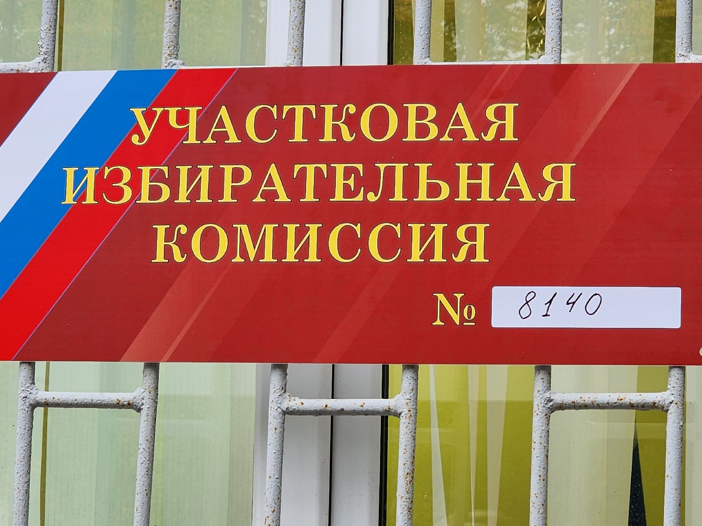 Выборы 2023, Домодедово