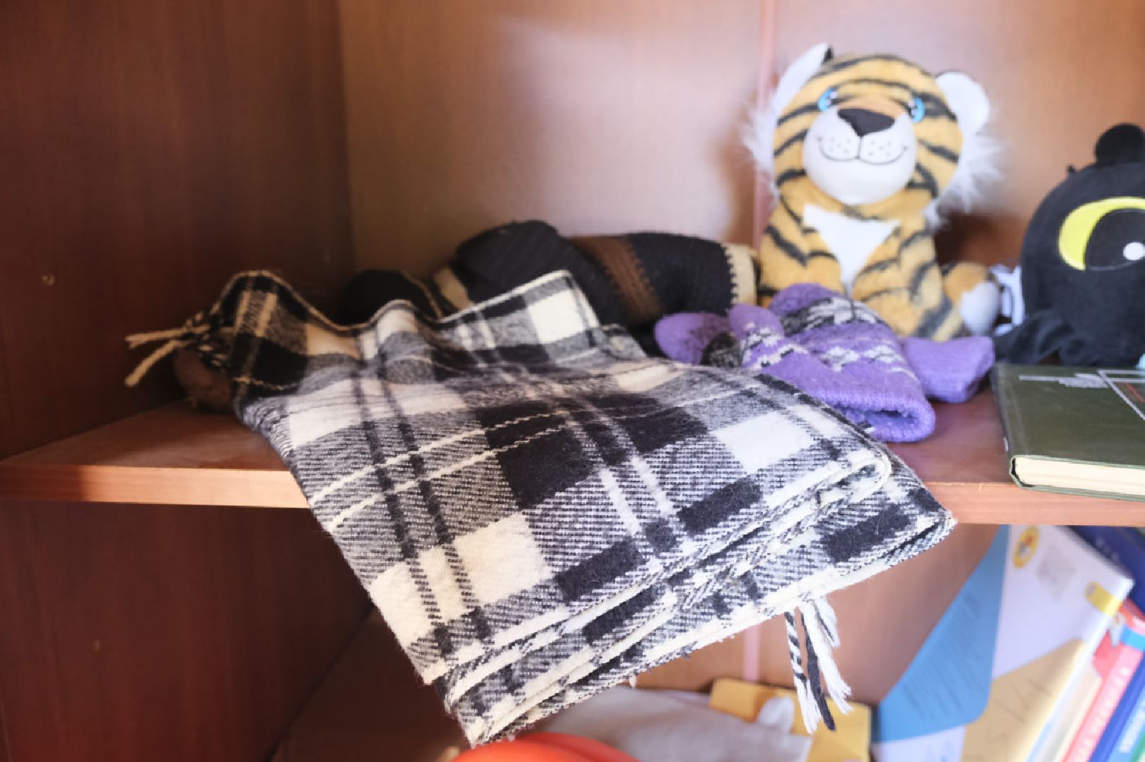 Пущино, экология, мегабак