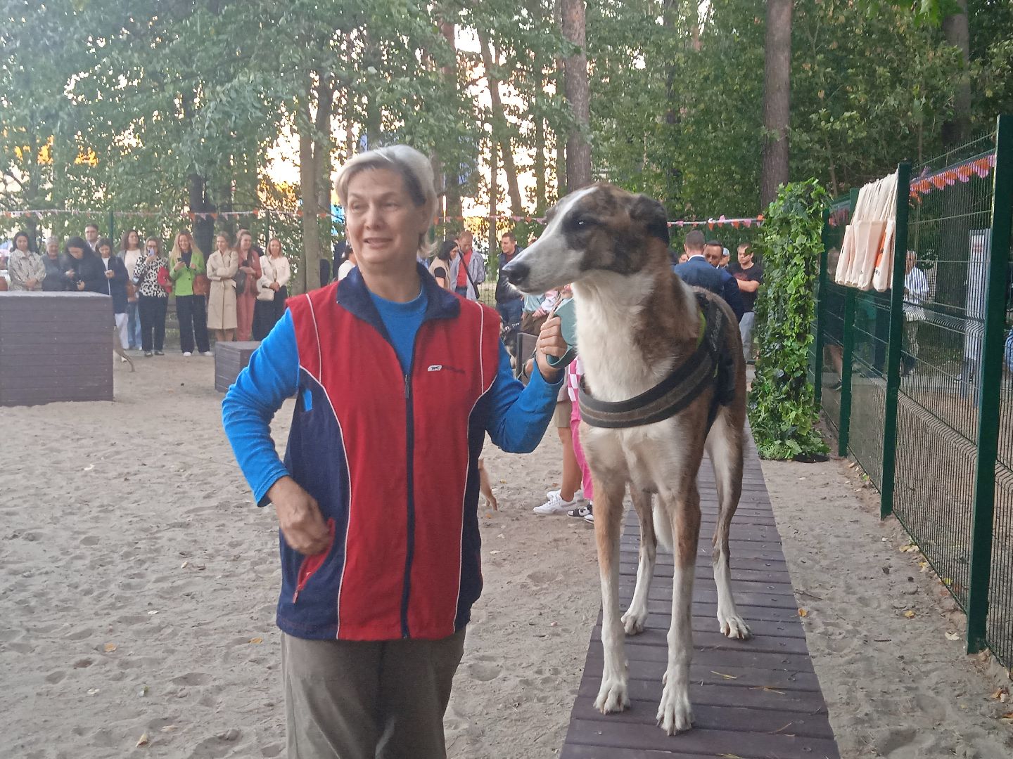 собачья, площадка, Четыре, лапы, социально-ответственный, бизнес, Цыпин, Аубакиров, Грибанов