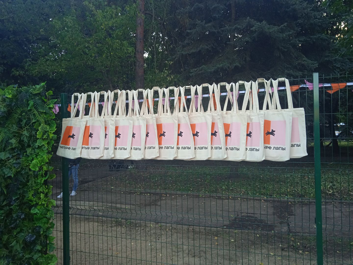 собачья, площадка, Четыре, лапы, социально-ответственный, бизнес, Цыпин, Аубакиров, Грибанов