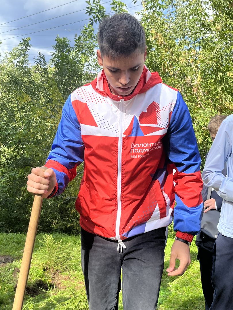 Наро-Фоминск, аллея памяти, рубеж обороны, посади дерево, волонтёры Подмосковья