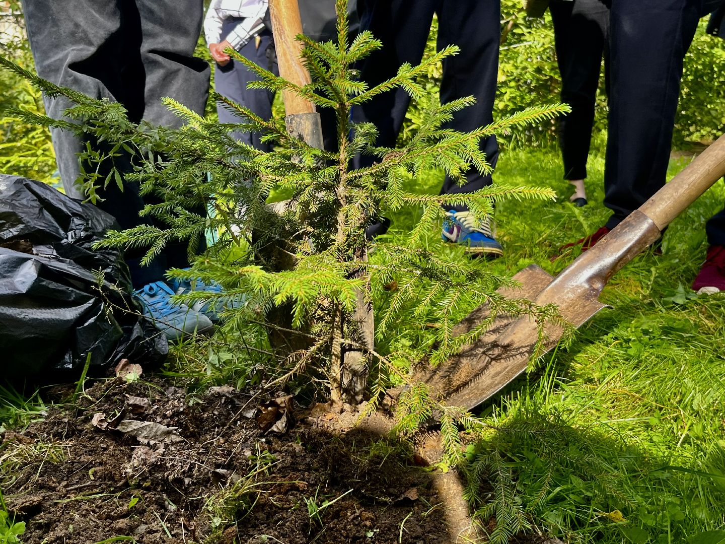 Наро-Фоминск, аллея памяти, рубеж обороны, посади дерево, волонтёры Подмосковья